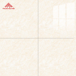 Gạch Porcelain OM6901 (60x60)