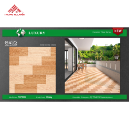 Gạch 50x50 MEN: THP5002