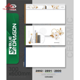 Gạch Ốp Lát Cao Cấp 2892 - 2891 - 2800 (30x60)
