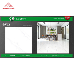 Gạch 50x50 MEN: THP5001