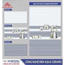 MS3623 - MS3623D - MS3624 Gạch 30x60 BNC