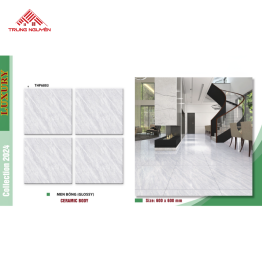 Gạch Men 60x60: THP6803