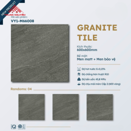 Gạch 60x60 Đá Matt: M66008