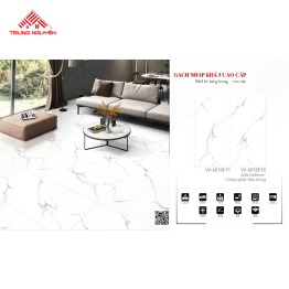 Gạch Nhập Khẩu 60x120: VA_60128_F1 & F2
