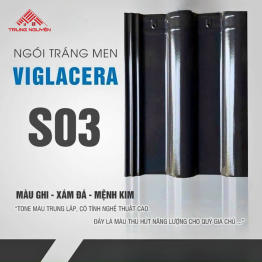Ngói Tráng Men S03