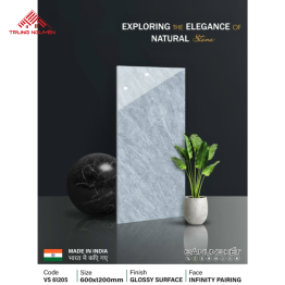 Gạch Đá 60x120: VS61205