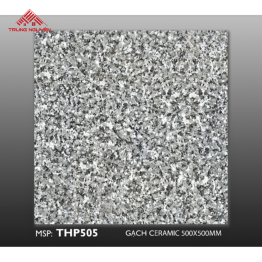 Gạch Men 50x50: THP505