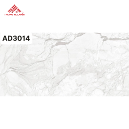 Gạch 60x120 Ấn Độ: AD3014