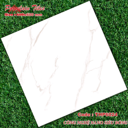 Gạch Đá 60x60: THP6024