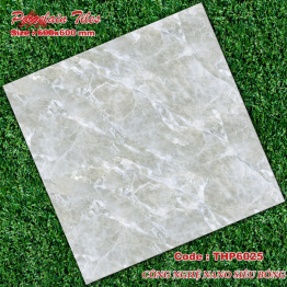 Gạch Đá 60x60: THP6025