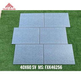 Gạch Sân Vườn FXK46256 (40x60)