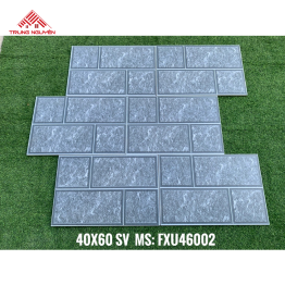 Gạch Sân Vườn FXU46002 (40x60)