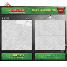 Gạch Đá 60x60: THP6503