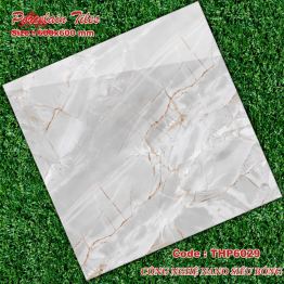 Gạch Đá 60x60: THP6029