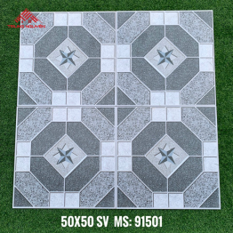 Gạch Sân Vườn 91501 (50x50)