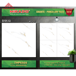 Gạch Đá 60x60: THP6505