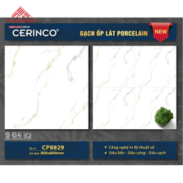 Gạch Đá 80x80: CP8829