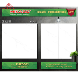Gạch Đá 60x60: THP6001