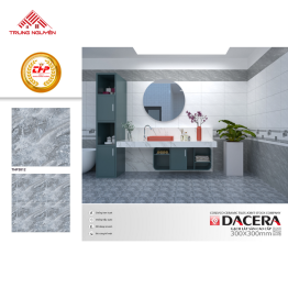 Gạch 30x30: THP3012