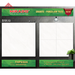 Gạch Đá 60x60: THP6504