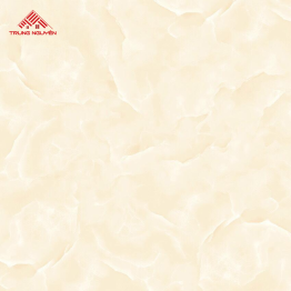 Gạch Đá 60x60: THP6814