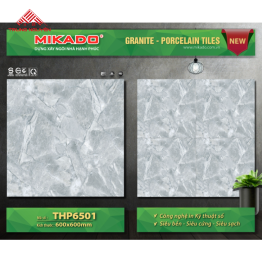 Gạch Đá 60x60: THP6501