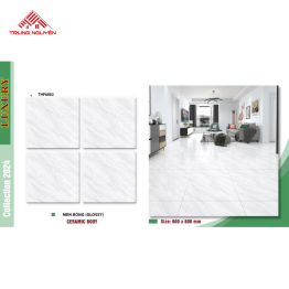 Gạch Men 60x60: THP6802