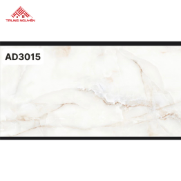 Gạch 60x120 Ấn Độ: AD3015