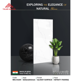 Gạch Đá 60x120: MG61201