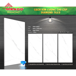 Gạch Đá 60x120: DIM126001