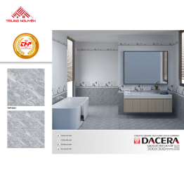 Gạch 30x30: THP3001