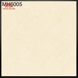 Gạch Đá Mờ: 60x60: MH6005-A1