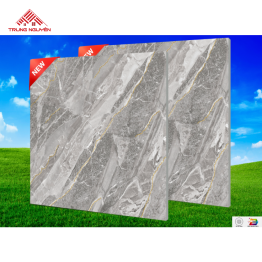 Gạch Đá 80x80: THP86170