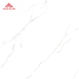 Gạch Quy Cách - THP8609