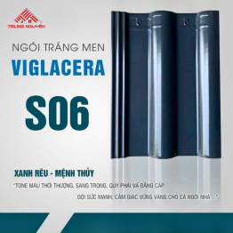 Ngói Tráng Men S06