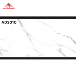 Gạch 60x120 Ấn Độ: AD3010
