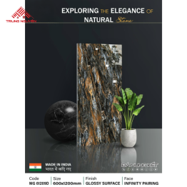 Gạch Đá 60x120: MG61209D