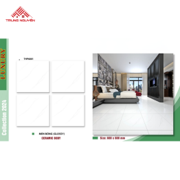 Gạch Men 60x60: THP6801