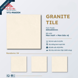 Gạch 60x60 Đá Matt: M66004