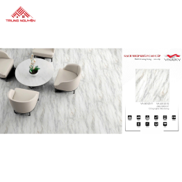 Gạch Nhập Khẩu 60x120: VA_60125_F1 & F2