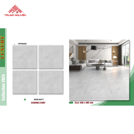 Gạch Men 60x60 MATT: THPM6909