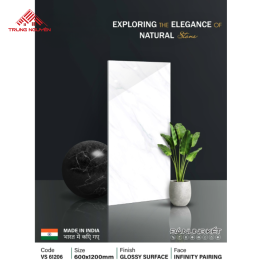 Gạch Đá 60x120: VS61206