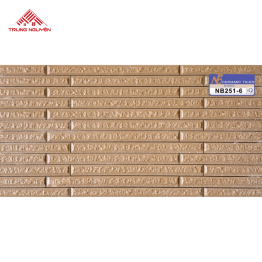 Gạch Sugar 25x50 Đặc Biệt: NB251-6