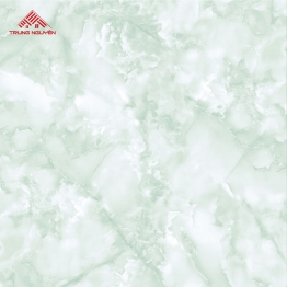 Gạch Porcelain 5167 (60x60)