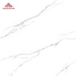 Gạch Lát Porcelain FPU8013