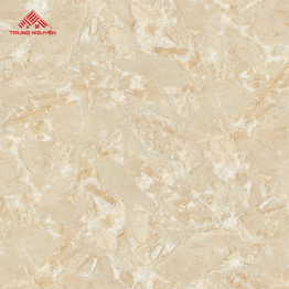 Gạch Lát Porcelain FPU8017