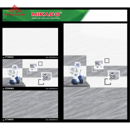 Gạch Men 30x60: CT39002 - CD39002 - CT39003