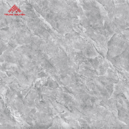 Gạch Lát Porcelain FPU8007