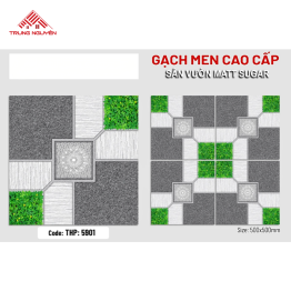Gạch Sugar 50x50: THP5901