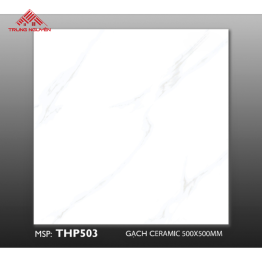 Gạch Men 50x50: THP503